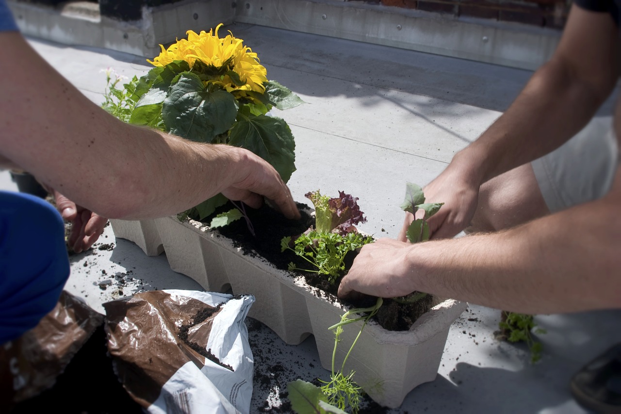 two men potting plants