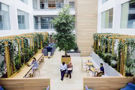 The Latest Workplace Trends: What Your Business Needs to Know
