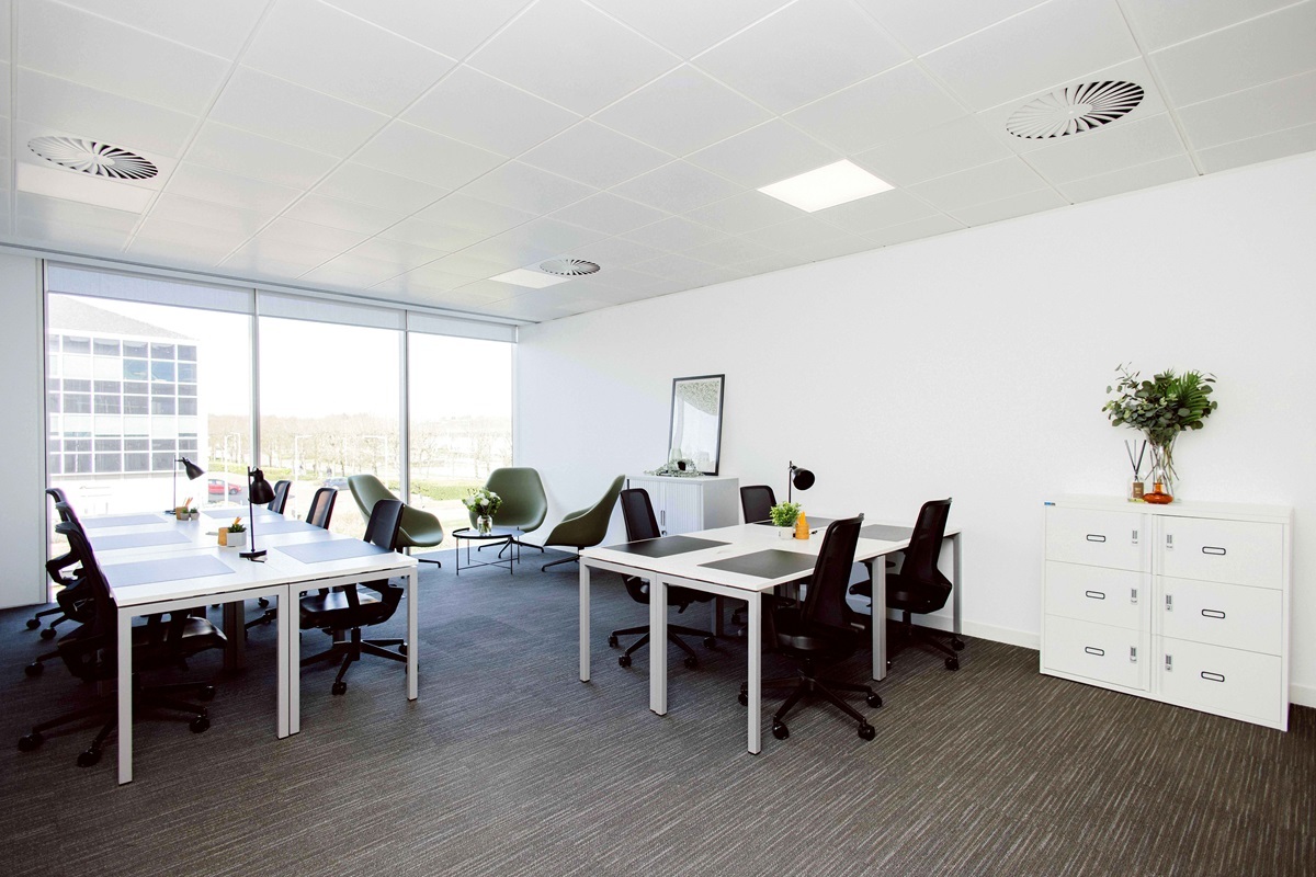 OregaStockleyPark_ShowSuite