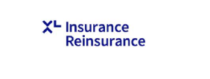 Insurance Reinsurance logo white space